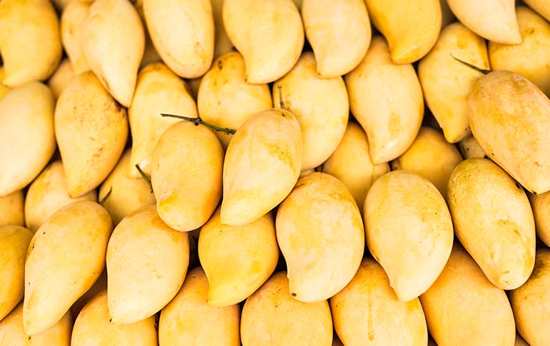 Mango