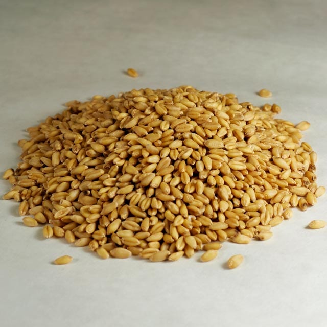Soft White Wheat